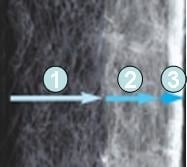 AnimalstoreXL Nano Clean Vervangingsfilter 3 stuks