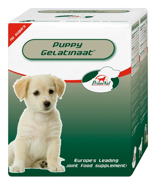 Gelatinaat Puppy 350g