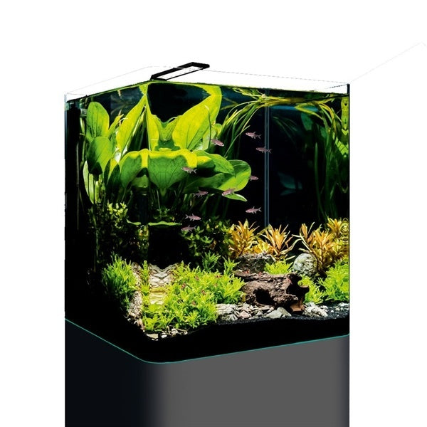 Nano Cube Basic 60L