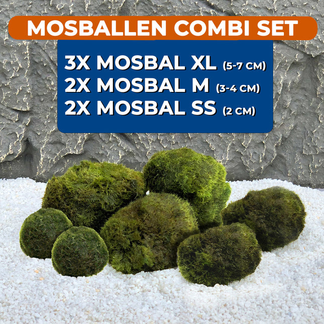 Mosbollen Combinatie set 7st