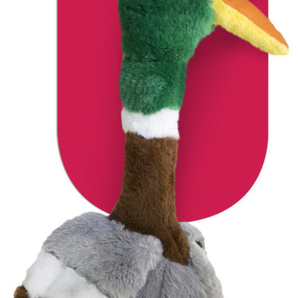 AnimalstoreXL Kong Shakers Honkers Eend Small