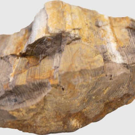 AnimalstoreXL Aquascape Red Wood Rock 5kg