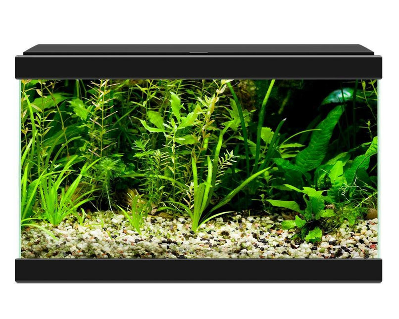 Aqua 20 LED Schwarz