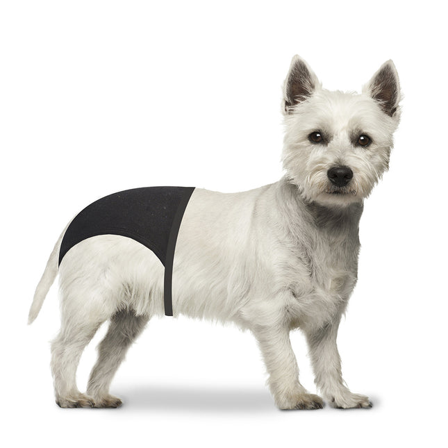 Hundehose S 24-31cm