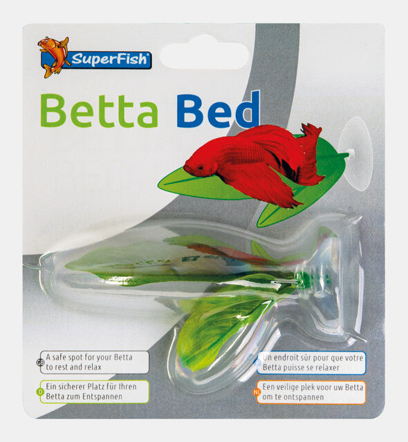 Betta-Bett