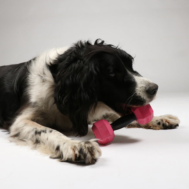 Für das Gainz Halfter Hundespielzeug L