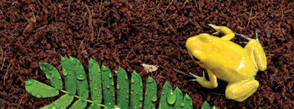 AnimalstoreXL Kokosvezelbriketten