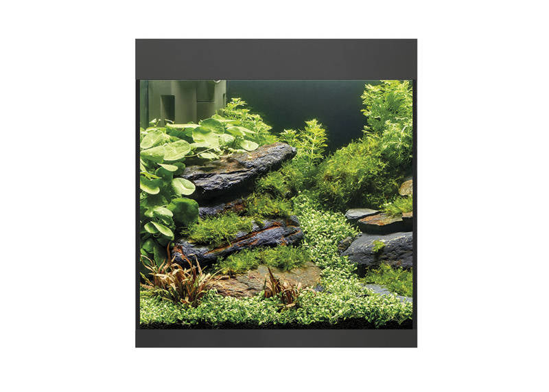 StyleLine 85 Aquarium Schwarz