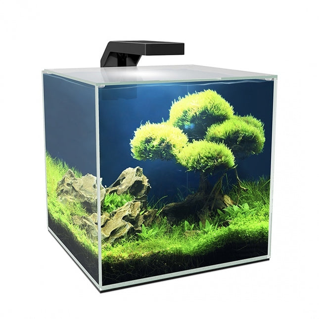 Aquariumwürfel 10 LED CF20