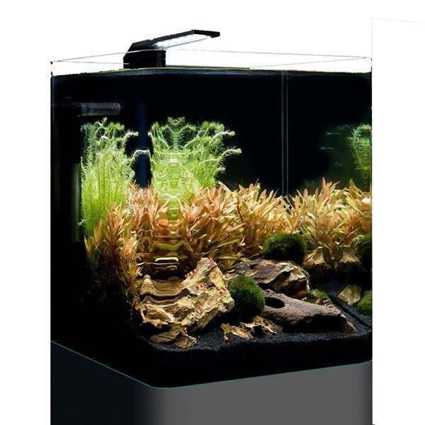 Nano Cube Basic 20L