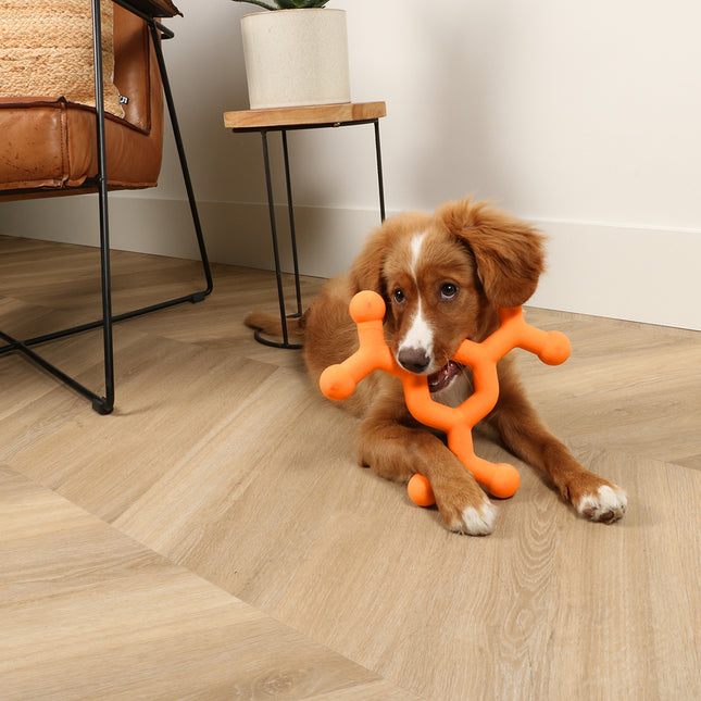 Dawg Science Hondenspeeltje S Oranje