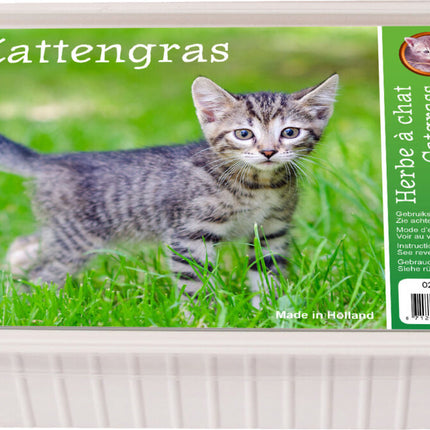 AnimalstoreXL Kattengras