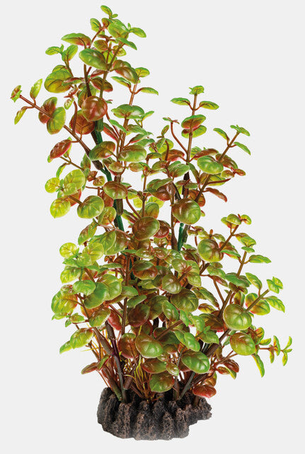 Kunstpflanze 25cm Rotala