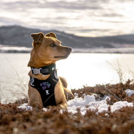 AnimalstoreXL Hurtta - Harness Weekend Warrior Zwart