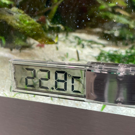 AnimalstoreXL Digitale Plakthermometer Zilver