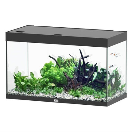 Sublime 100x50 aquarium