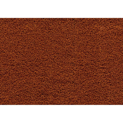 AnimalstoreXL Goldfish Gold Japan