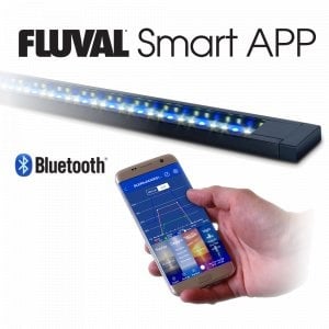 AnimalstoreXL Flex Aquarium Compleet 123L Zwart