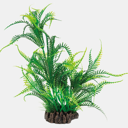 AnimalstoreXL Art Plant 25cm Microsorum