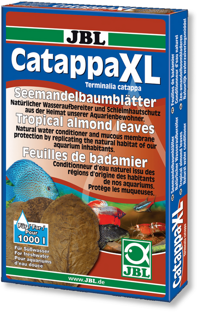 Catappa XL 10st.