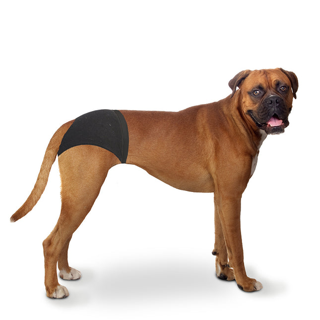 Hundehose L 40-49cm