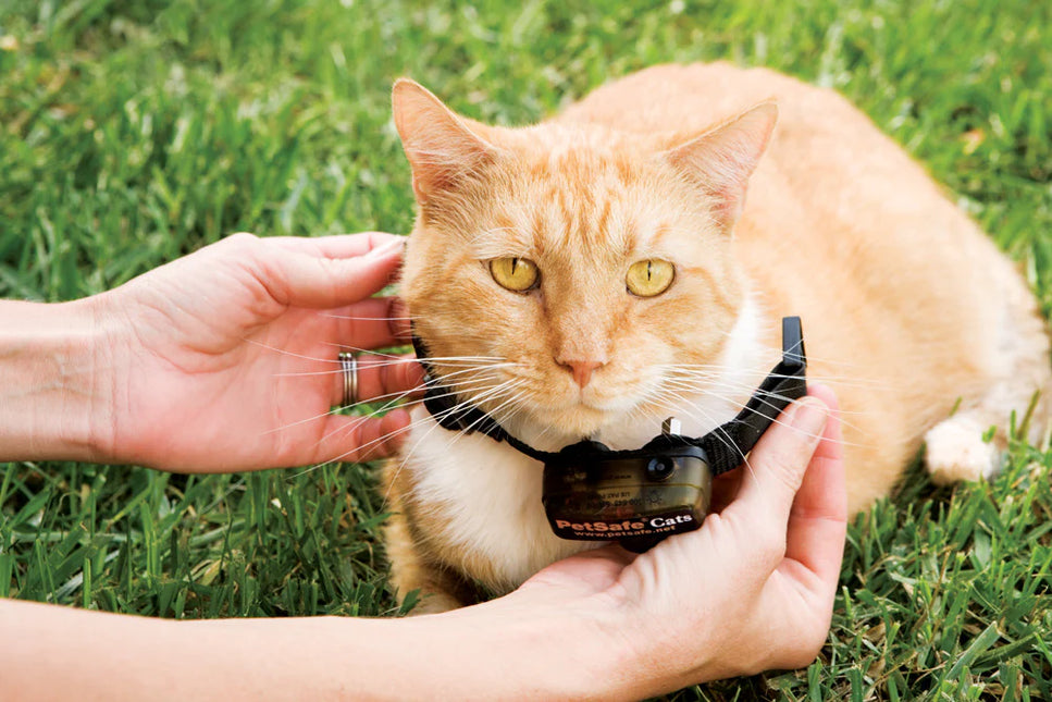 Petsafe Extra Halsband Katzenzaun