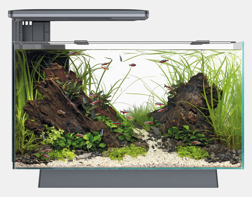 Aquarium Quadro 70 Pro Zwart