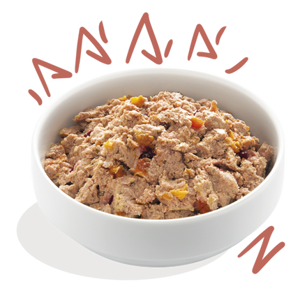 AnimalstoreXL Edgard & Cooper Senior Hond Kuipje Kip & Zalm Graanvrij