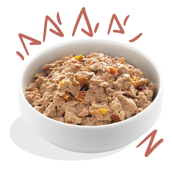 AnimalstoreXL Edgard & Cooper Senior Hond Kuipje Kip & Zalm Graanvrij